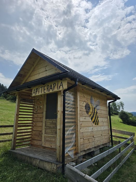 Domek do apiterapii