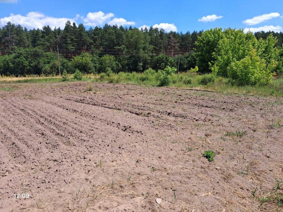 .Продаж земельної ділянки у с.Благодатне.