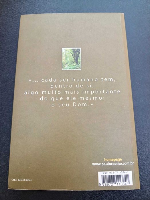 Livro "Brida", Paulo Coelho