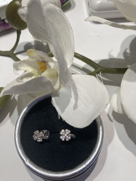 Kolczyki koniczynki Apart