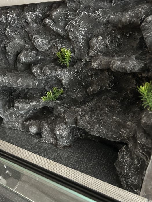 Terrarium 80x50x40