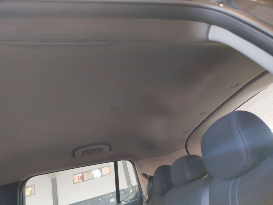 Forra de tejadilho NISSAN Leaf EV (ZE1)