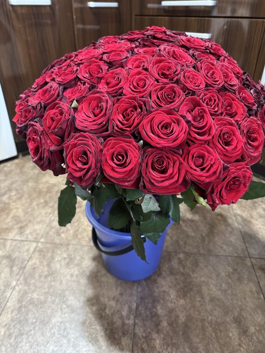 Терміново! Продам букет роз 101 шт , троянда