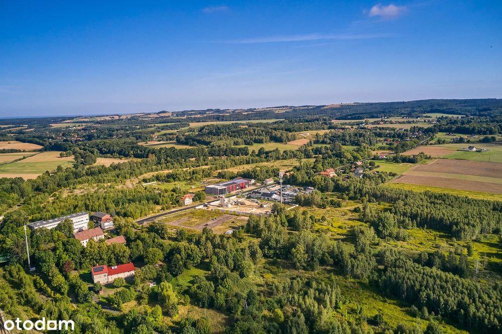 Zdjęcie 8
