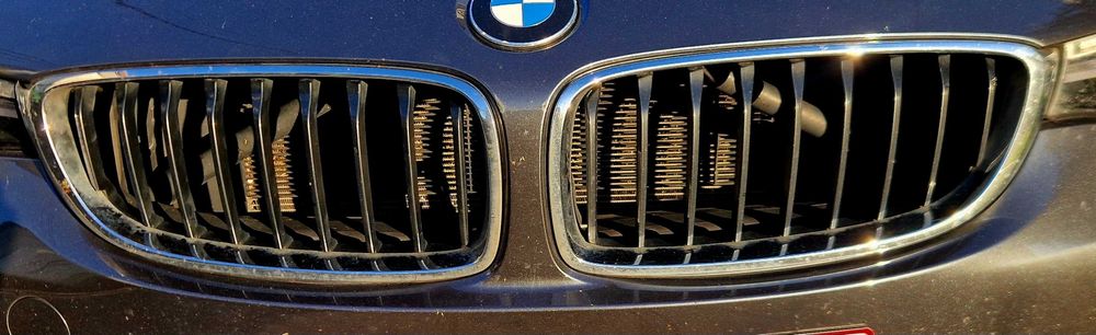 Grelhas originais  BMW F36 F32