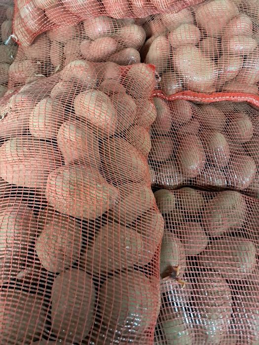 Batata roxa 20kg