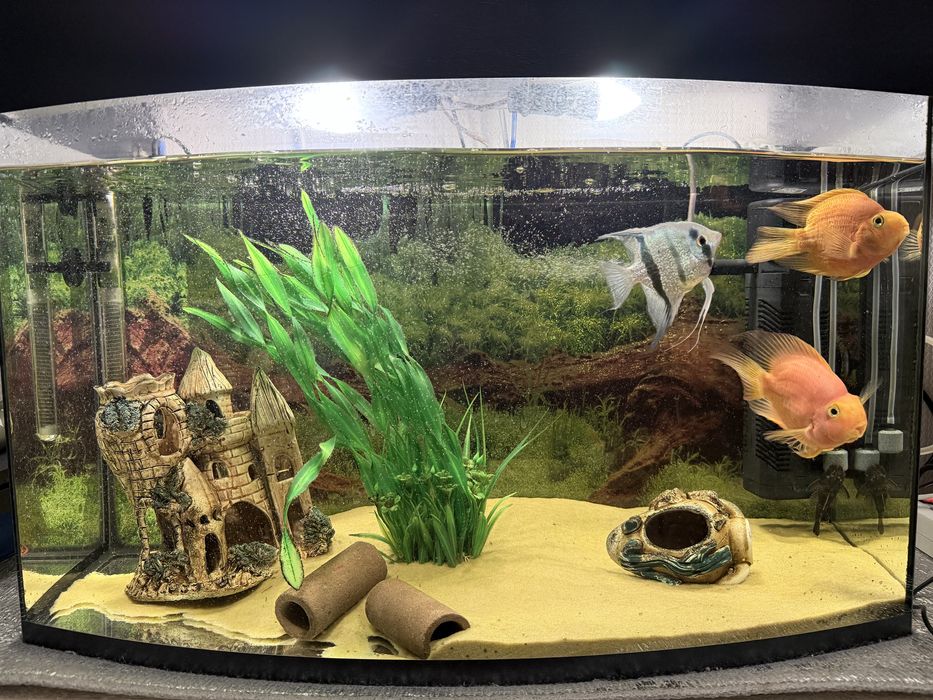 Два акваріума 120л і 40л