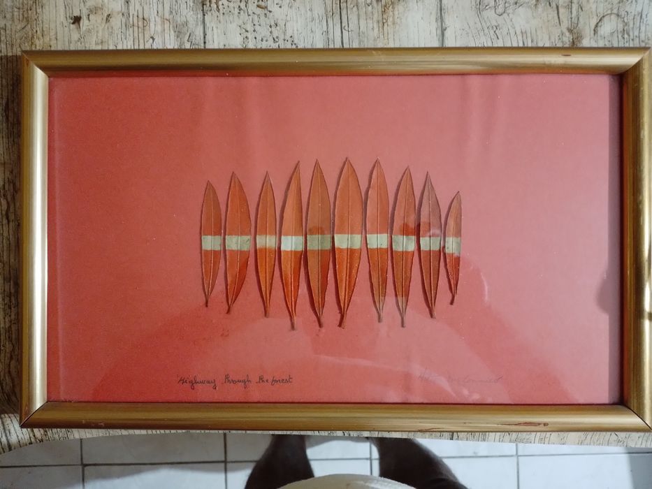 Original "highway to the forest"