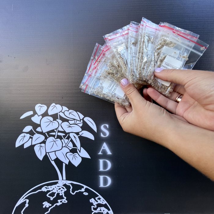 Насіння Павловнії Pao Tong-07 уп 200шт, Семена Павловнии із Безкош.дос