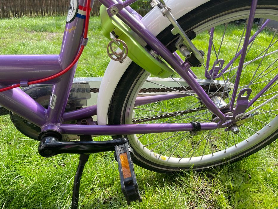 Rower Batavus Koala 22