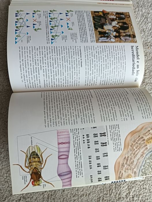 Biologia	Enciclopédia Juvenil  com muitas fotografias e ilustrações