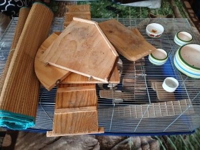 Klatka dla chomika 2 poziomowa z dodatkami