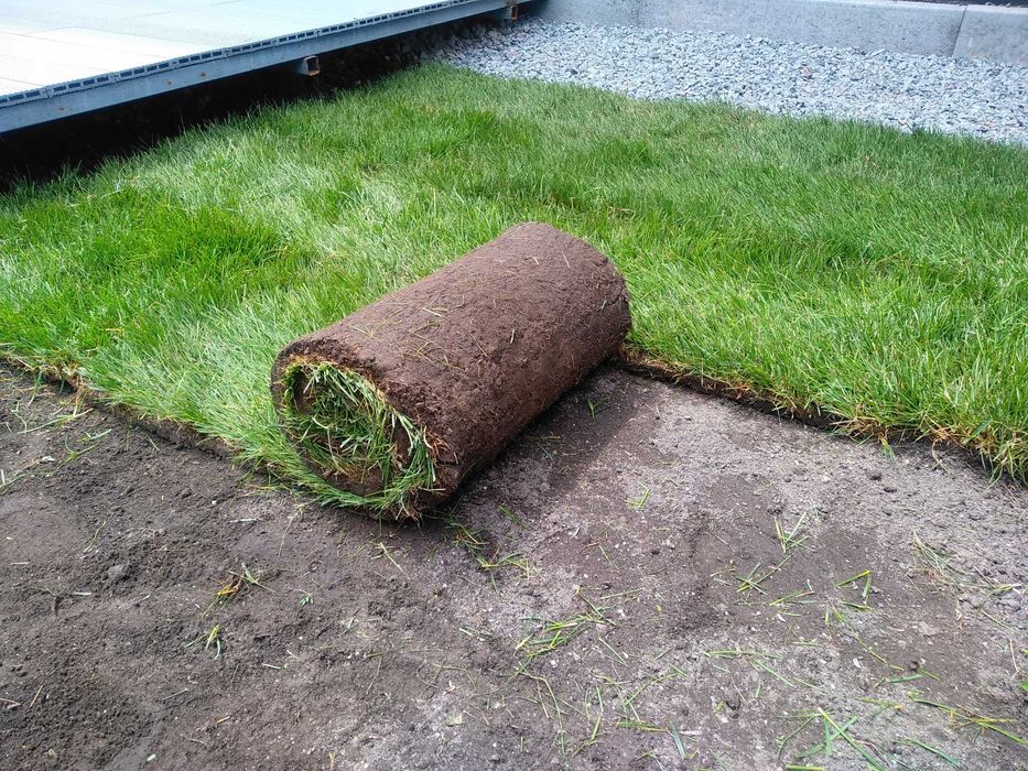 Рулонний газон, посів газону, автополив