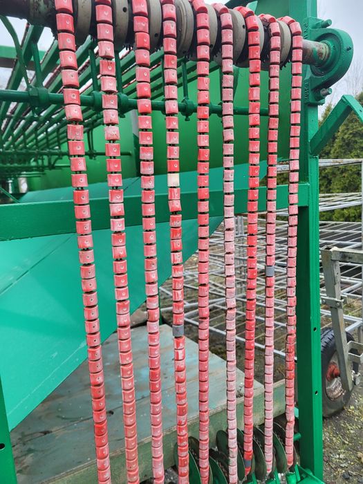 Sortownik do ogórków