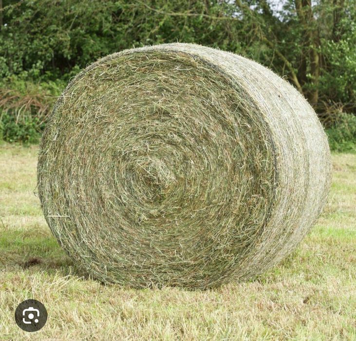 Siano pierwszy pokos bele 120