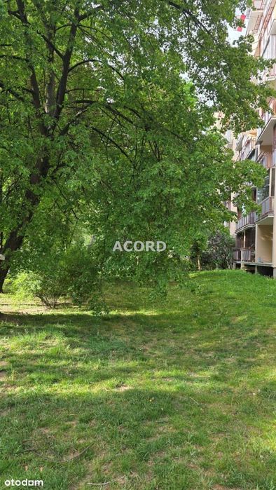 Gocław 2 pok. panorama dobry stan
