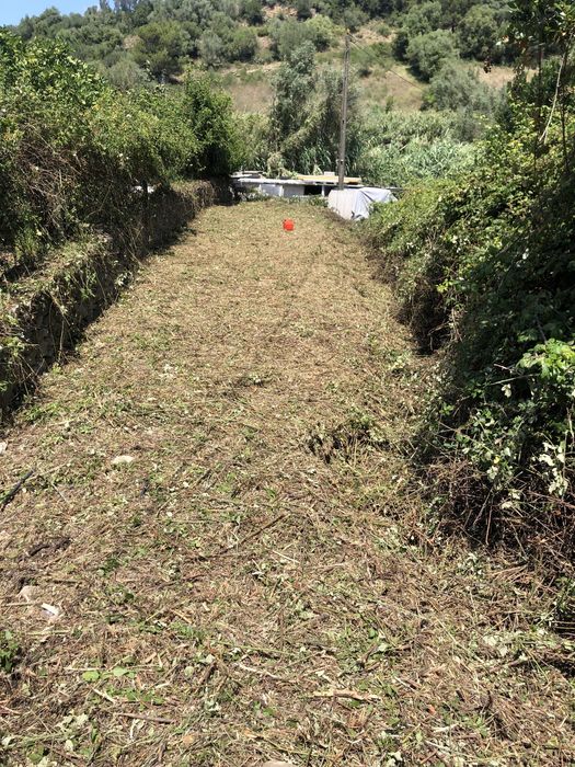 Corte Arvores e Limpeza Terrenos