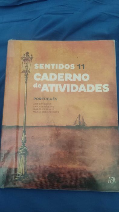 Caderno de atividade - sentido 11