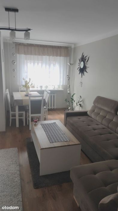 Mieszkanie na parterze do zamieszkania wysoki standard