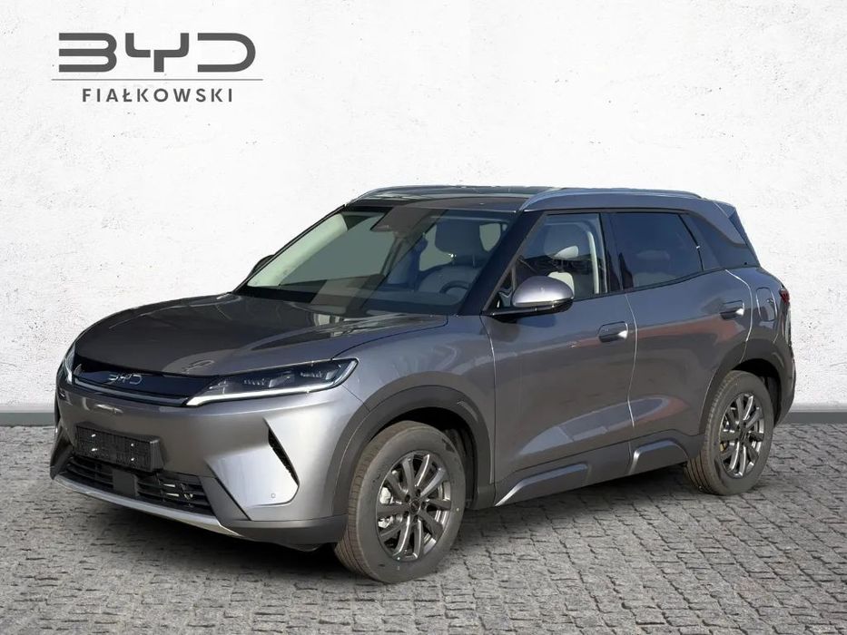 BYD Pozostałe BYD