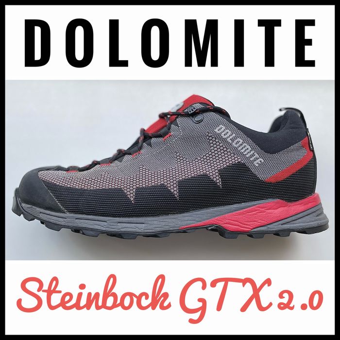 Кросівки трекінгові Dolomite Steinbock GTX 2.0