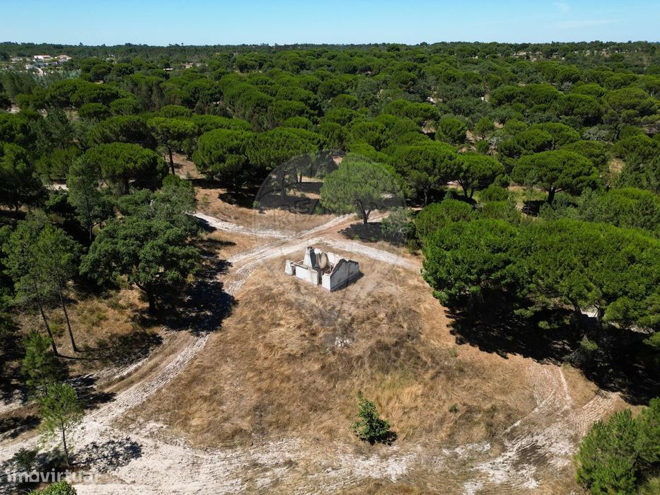 Quinta  para venda — Cortiçadas De Lavre E Lavre, Évora