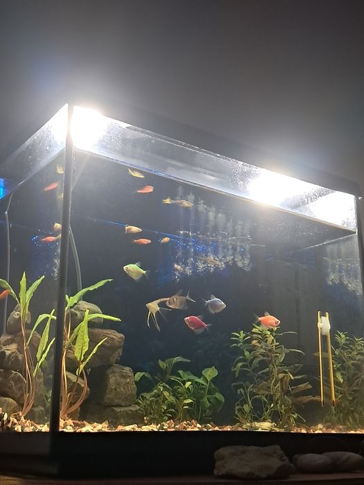Продаю акваріум)))