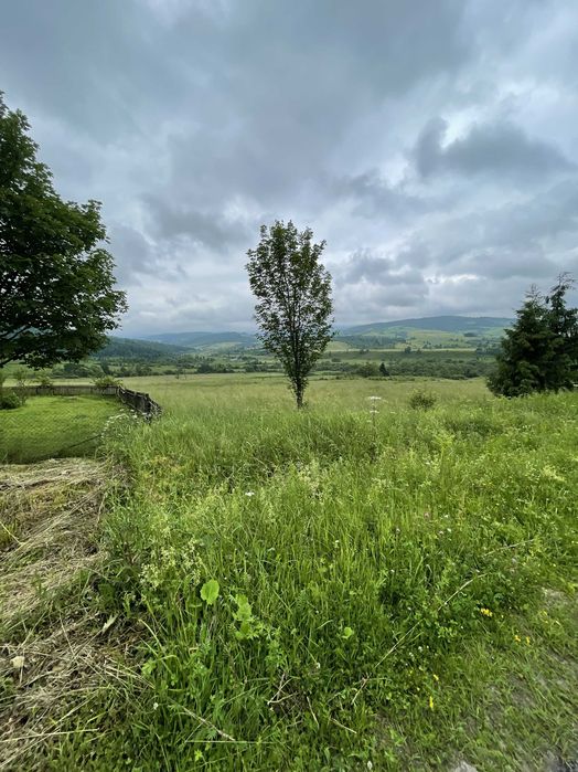 Продаж ділянки 2 га  ОСГ в Карпатах село Матків!