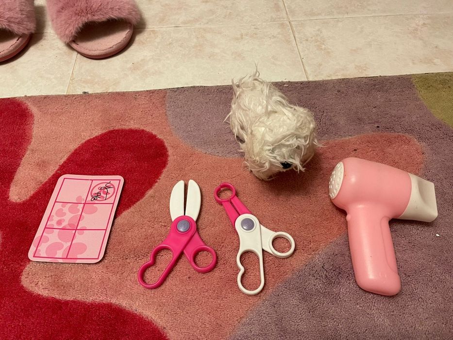 Cão mais mala de transporte