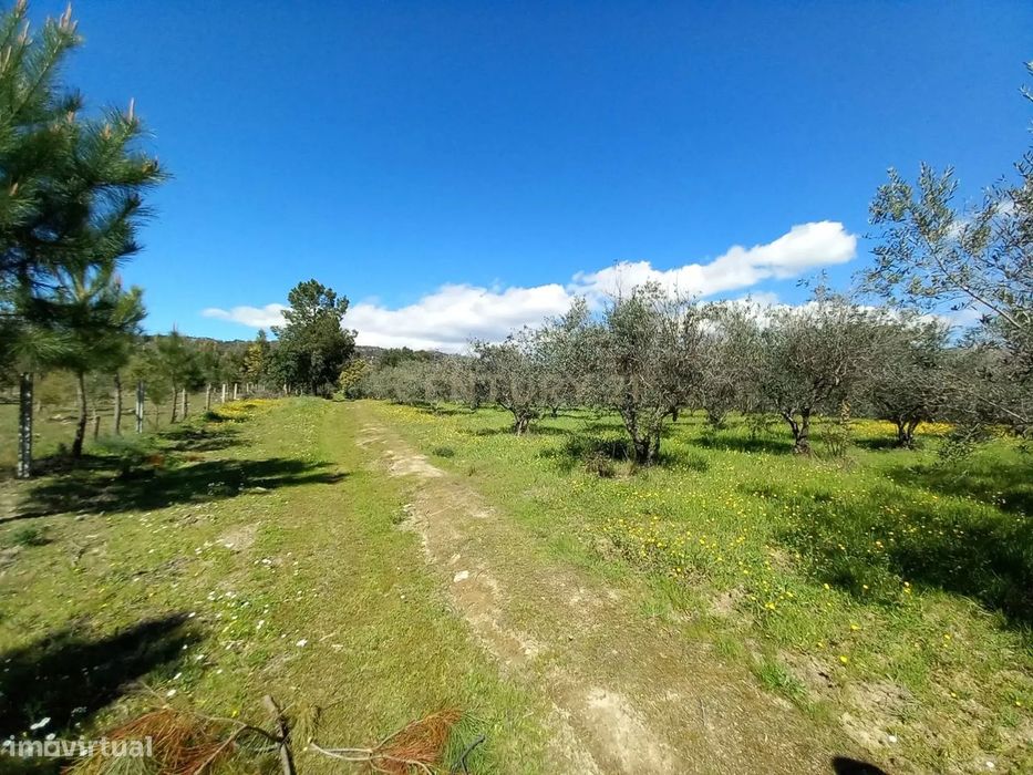 Quinta com 24750m2 Louriçal do campo