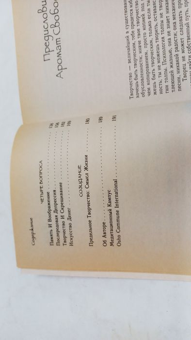 ОШО 2003г. Творчество,  высвобождение внутренних сил