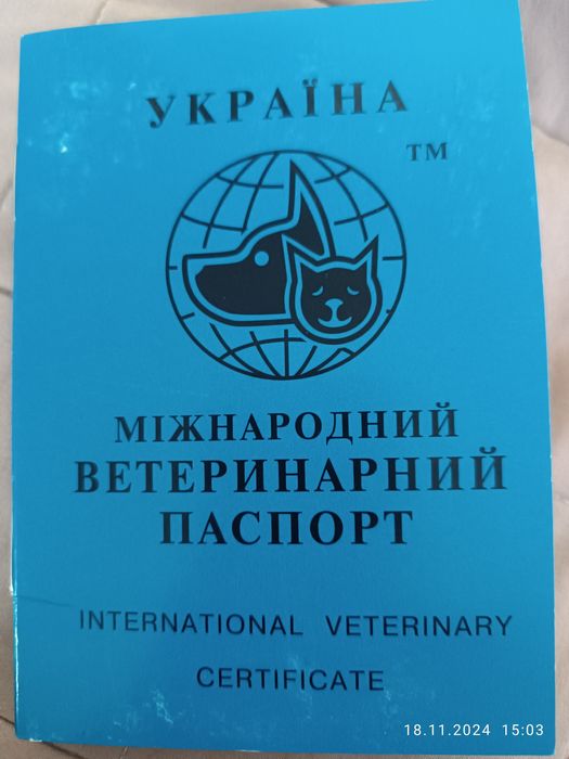 німецький Курцхаар