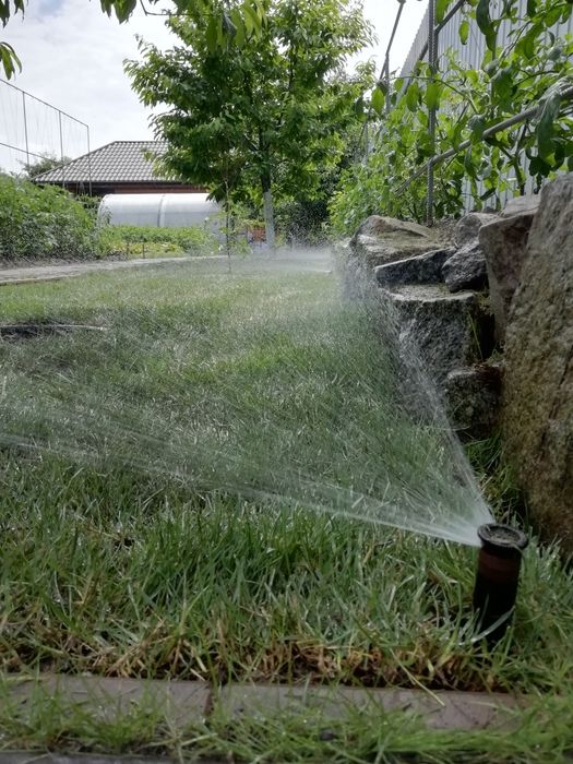 Рулонний та посівний газон.. Ландшафтні роботи