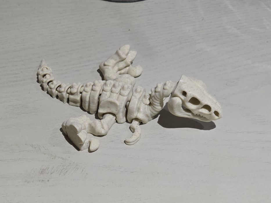 Esqueleto Dinossauro Velociraptor Articulado