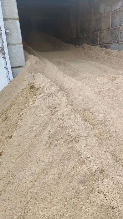 Trocina dębowa producent