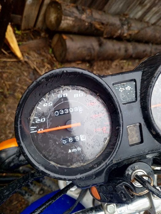 Мустанг.    мото