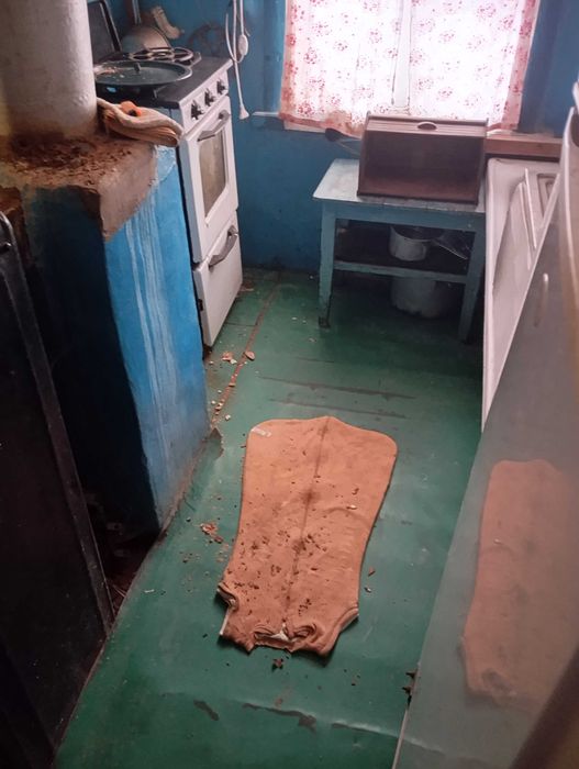 Будинок в Диканька ,опалення пічне+ газ,з енергонезалежним котлем