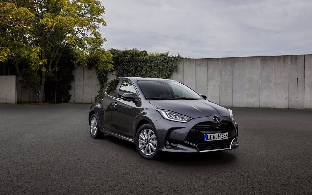 Zdjecie w galerii numer 2