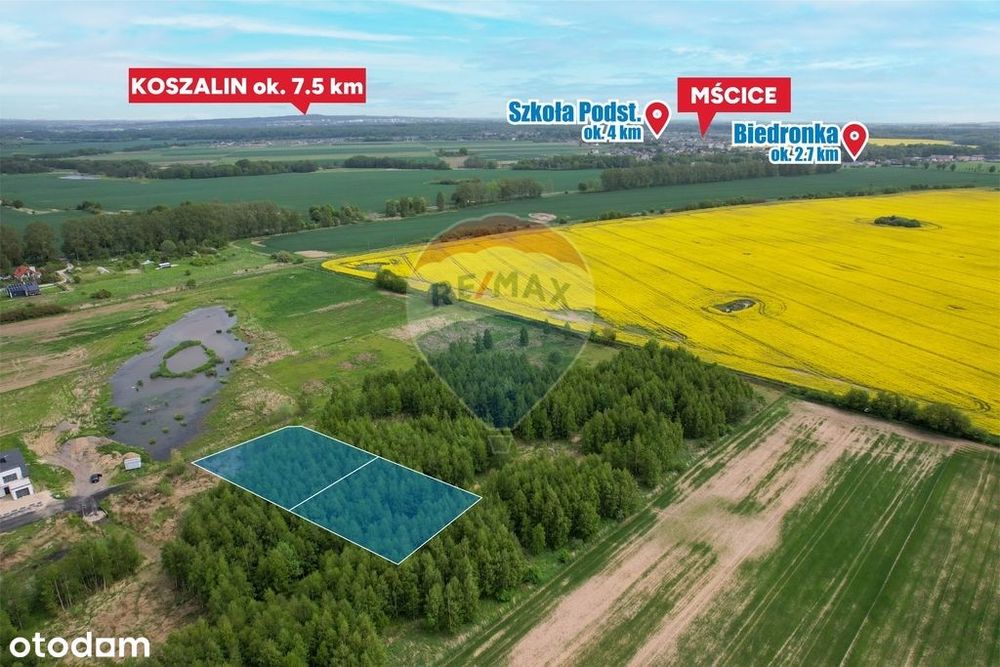 Działka z wydanymi WZ w Strzeżenicach