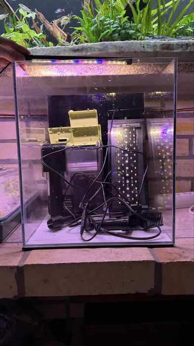 Aquario + filtro + Luz + 4L Neo Soil