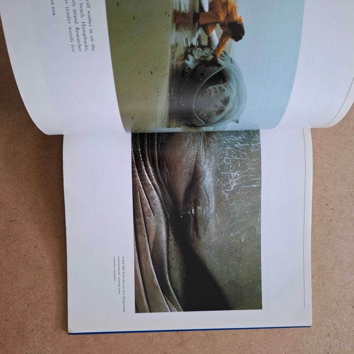 "Seasons of the Whale" de Erich Hoyt