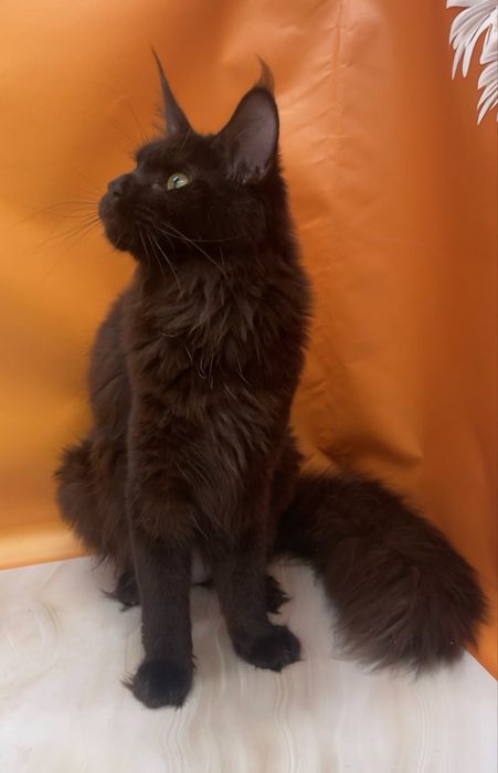 Девочка один год