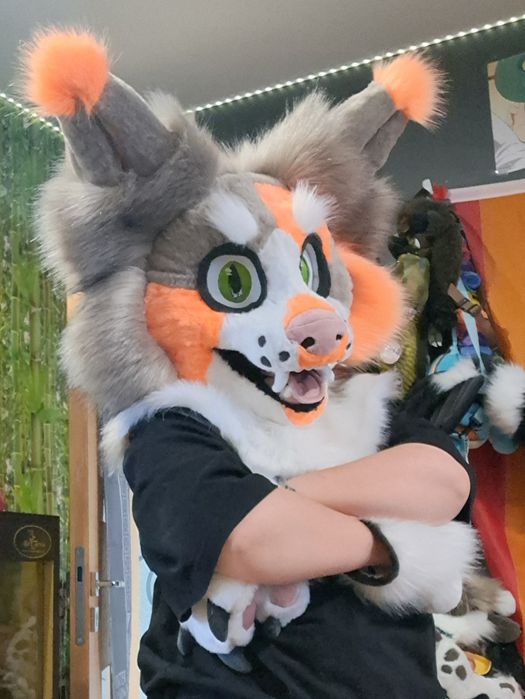Furry fursuit kot
