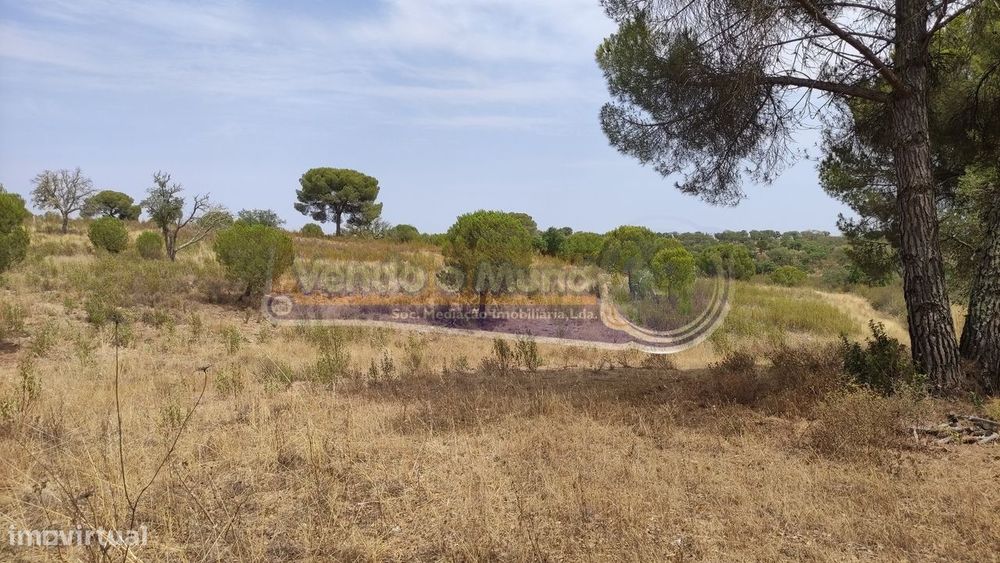 Terreno em Mora (MOR013)