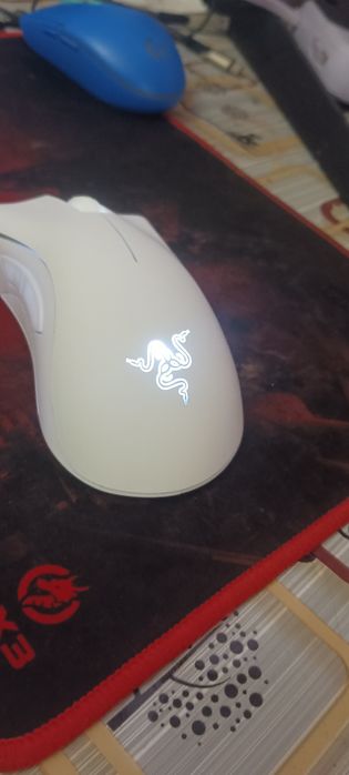 Мыш рейзер deadhadder