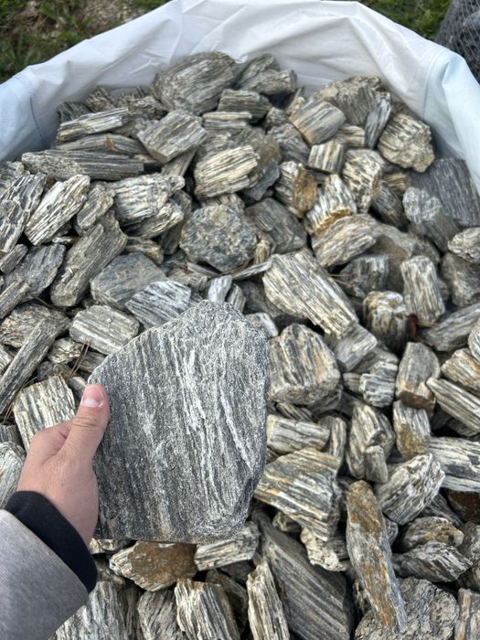 ŁUPEK DRZEWIASTY Kamień do Akwarium Skała Dragon Kora Kamienna Gnejs