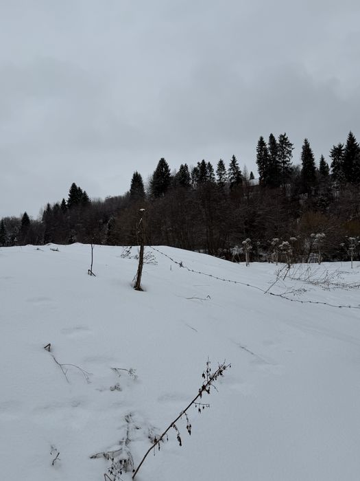 Ділянка в Карпатах  (Західний реабілітаційно - спортивний центр НКСІУ)