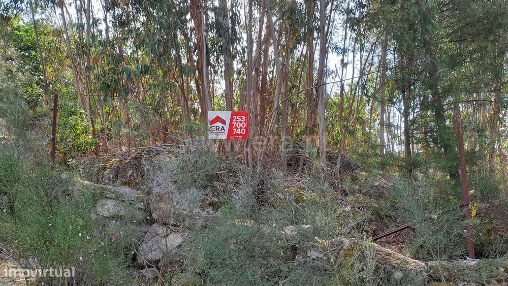 Terreno com 29.980 m2 em Cabeceiras de Basto