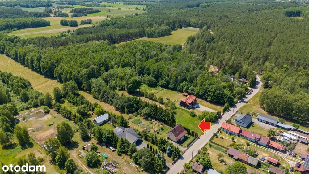 ***Za Miastem, Blisko Lasu***