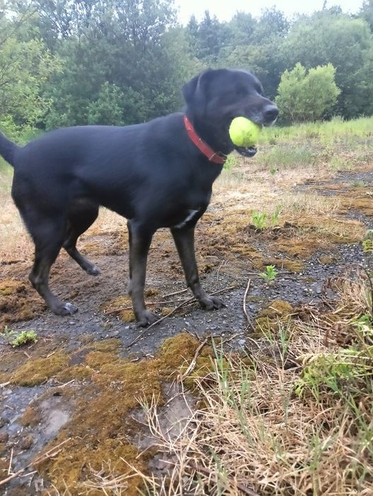 Tami jak błyskawica